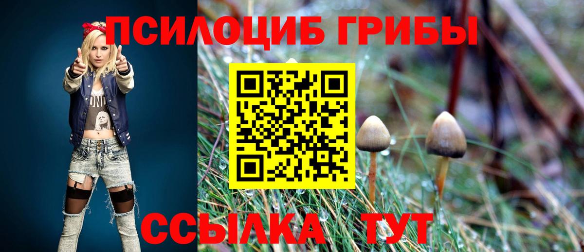 Псилоцибиновые грибы GOLDEN TEACHER Электросталь